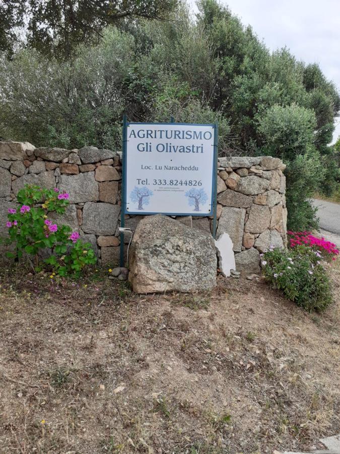 Gli Olivastri Con Piscina,Solarium, Vista Mare ,Sole -Mare E Tanta Natura ,Climatizzatore,Wifi Aglientu Bagian luar foto