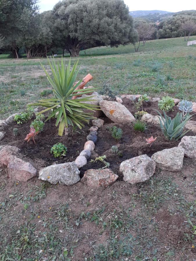 Gli Olivastri Con Piscina,Solarium, Vista Mare ,Sole -Mare E Tanta Natura ,Climatizzatore,Wifi Aglientu Bagian luar foto
