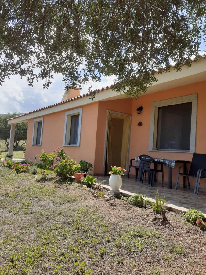 Gli Olivastri Con Piscina,Solarium, Vista Mare ,Sole -Mare E Tanta Natura ,Climatizzatore,Wifi Aglientu Bagian luar foto