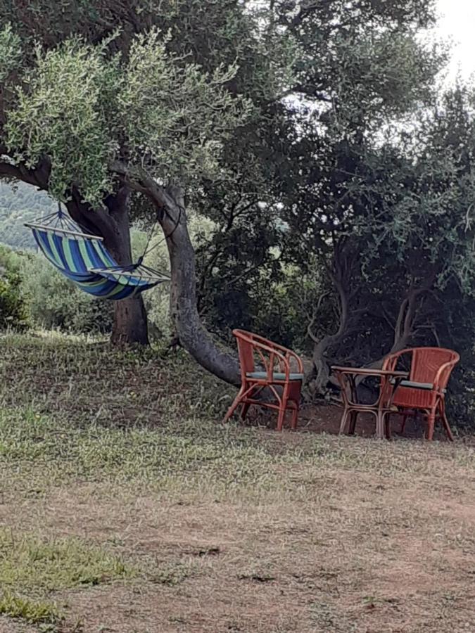 Gli Olivastri Con Piscina,Solarium, Vista Mare ,Sole -Mare E Tanta Natura ,Climatizzatore,Wifi Aglientu Bagian luar foto