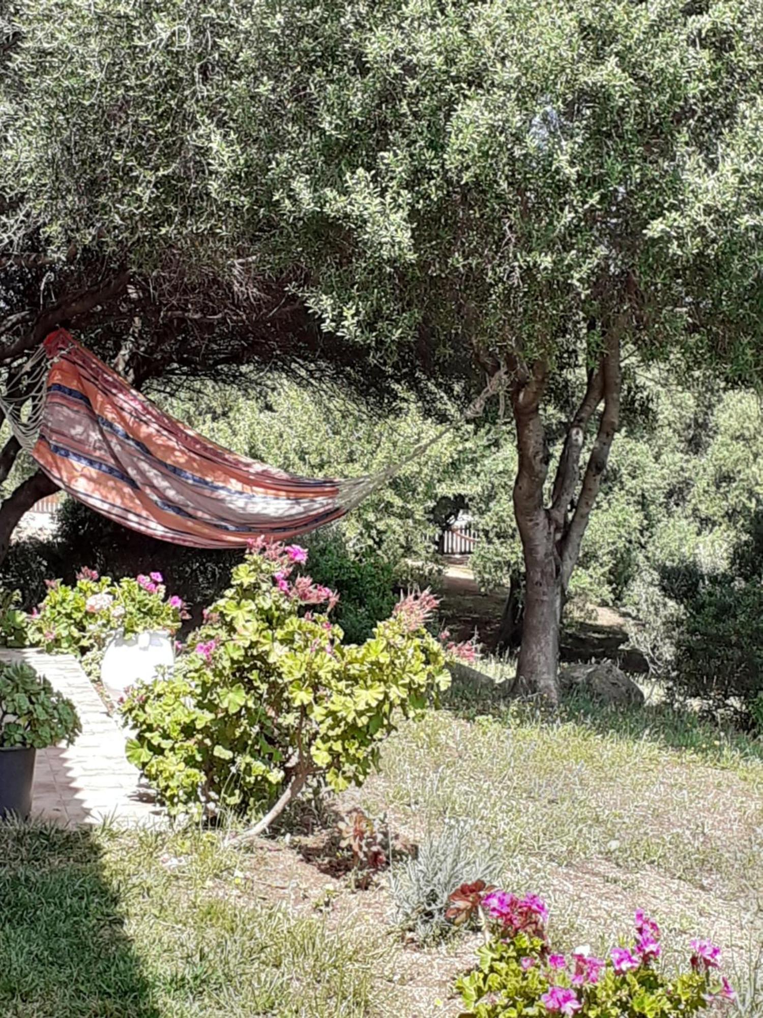 Gli Olivastri Con Piscina,Solarium, Vista Mare ,Sole -Mare E Tanta Natura ,Climatizzatore,Wifi Aglientu Bagian luar foto