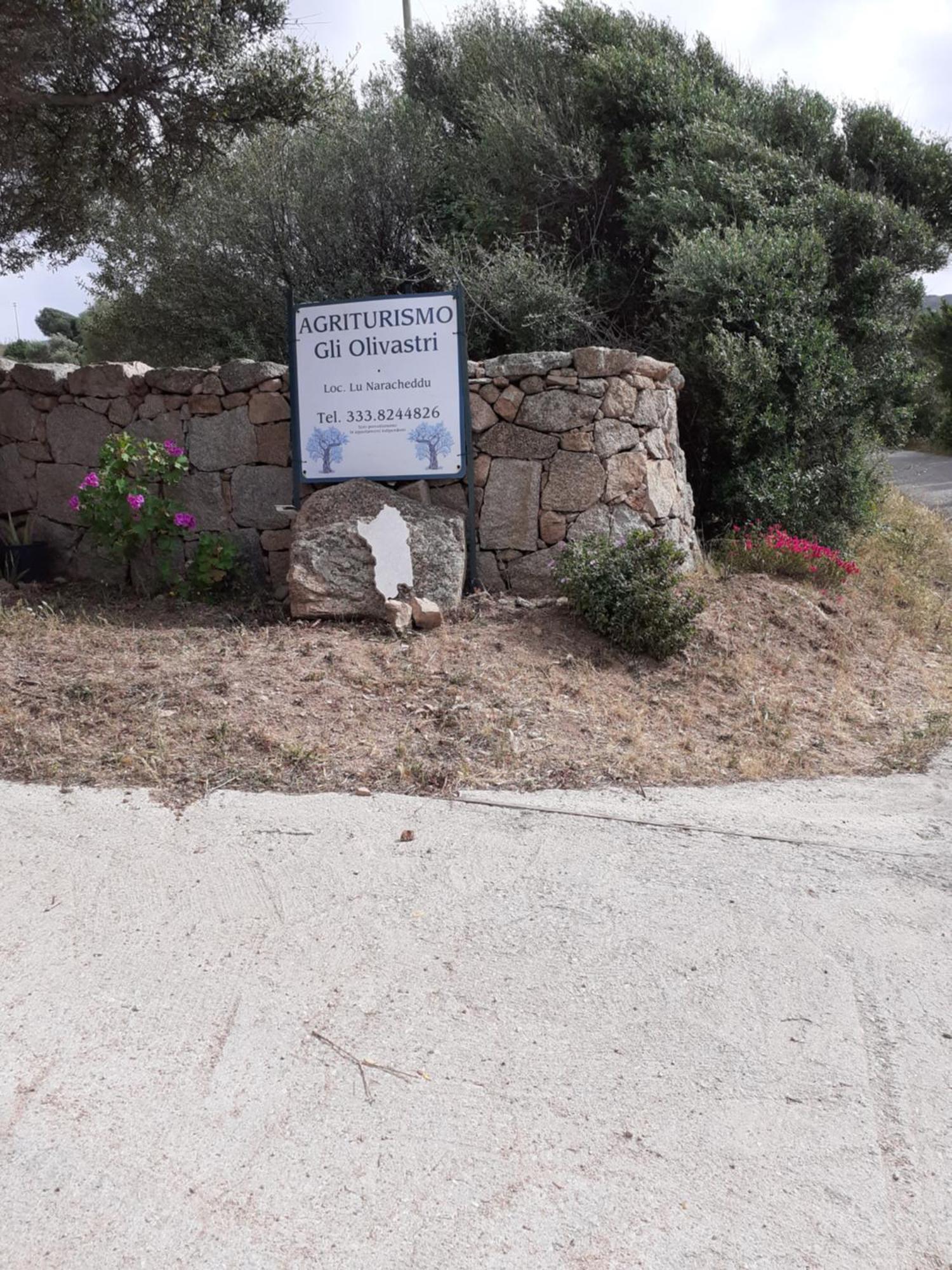 Gli Olivastri Con Piscina,Solarium, Vista Mare ,Sole -Mare E Tanta Natura ,Climatizzatore,Wifi Aglientu Bagian luar foto