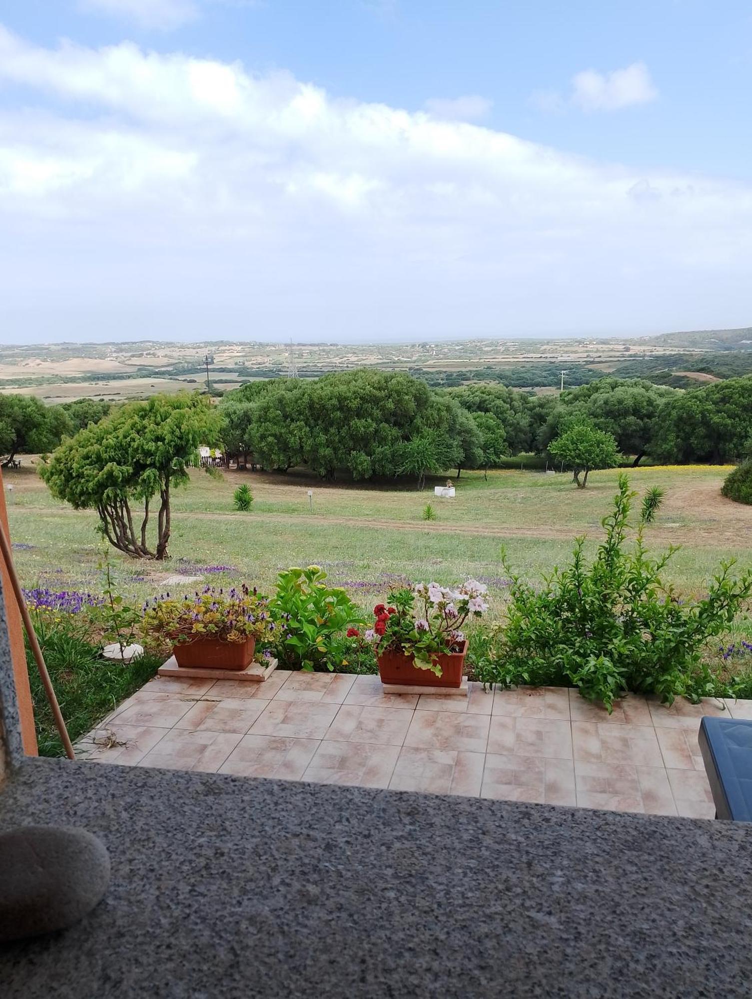 Gli Olivastri Con Piscina,Solarium, Vista Mare ,Sole -Mare E Tanta Natura ,Climatizzatore,Wifi Aglientu Bagian luar foto