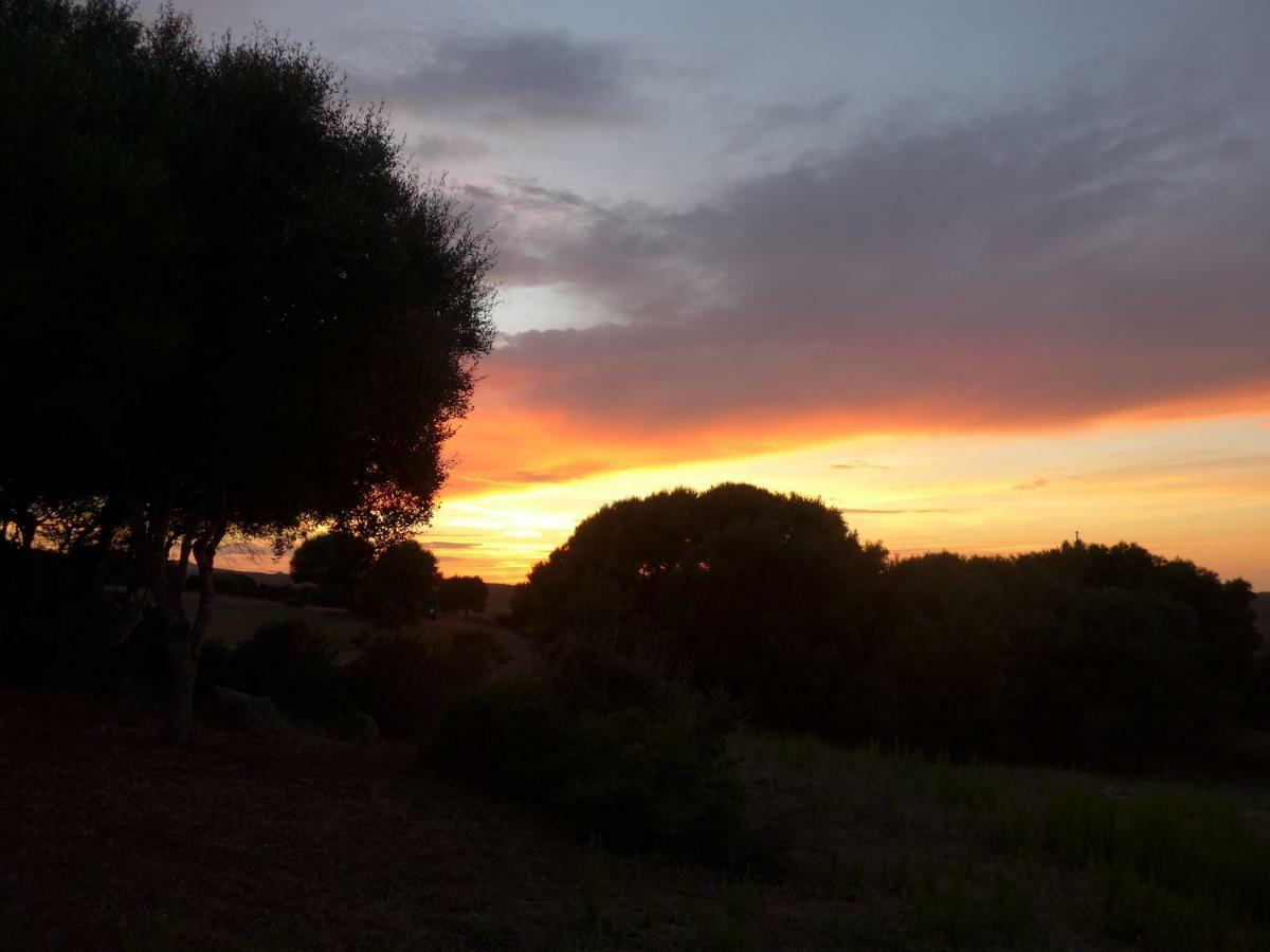 Gli Olivastri Con Piscina,Solarium, Vista Mare ,Sole -Mare E Tanta Natura ,Climatizzatore,Wifi Aglientu Bagian luar foto