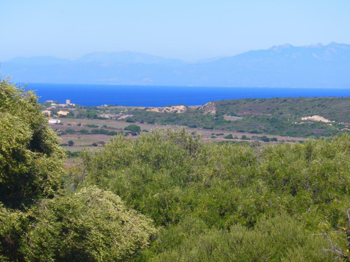 Gli Olivastri Con Piscina,Solarium, Vista Mare ,Sole -Mare E Tanta Natura ,Climatizzatore,Wifi Aglientu Bagian luar foto
