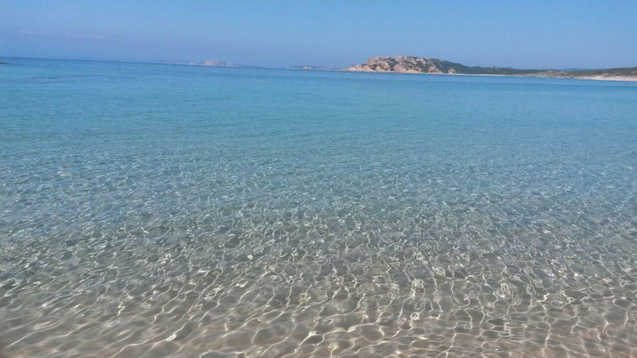 Gli Olivastri Con Piscina,Solarium, Vista Mare ,Sole -Mare E Tanta Natura ,Climatizzatore,Wifi Aglientu Bagian luar foto