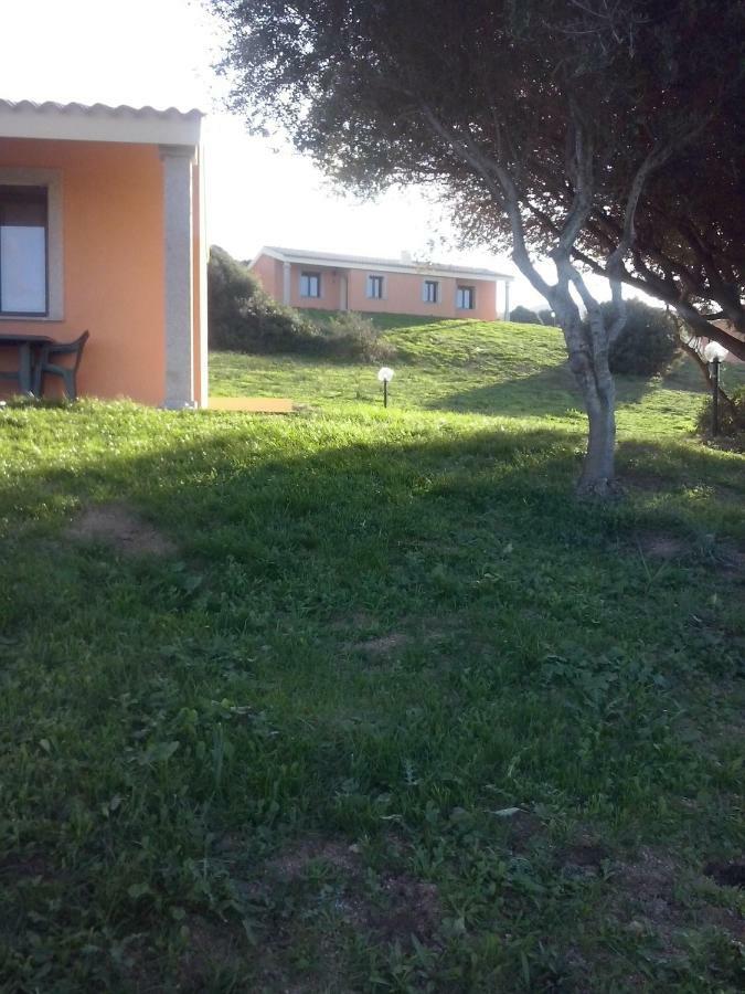 Gli Olivastri Con Piscina,Solarium, Vista Mare ,Sole -Mare E Tanta Natura ,Climatizzatore,Wifi Aglientu Bagian luar foto