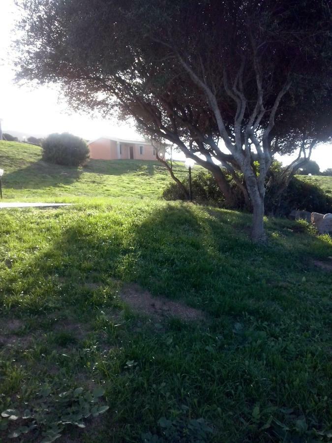 Gli Olivastri Con Piscina,Solarium, Vista Mare ,Sole -Mare E Tanta Natura ,Climatizzatore,Wifi Aglientu Bagian luar foto